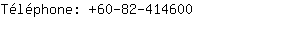 Tlphone: 60-82-41....