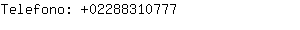 Telefono: 0228831....