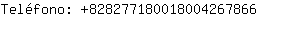Telfono: 82827718001800426....