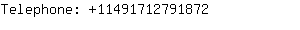 Telephone: 011-49-171279....