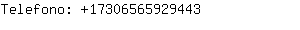 Telefono: 1730656592....