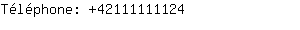 Tlphone: 4211111....