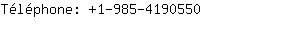 Tlphone: 1-985-419....