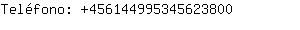 Teléfono: 45614499534562....