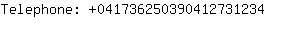 Telephone: 04173625039041273....