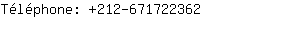 Tlphone: 212-67172....