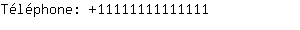 Tlphone: 1111111111....