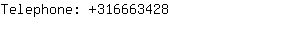 Telephone: 31666....