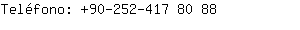 Telfono: 90-252-417 8....