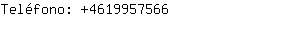 Teléfono: 461995....