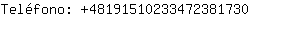 Telfono: 4819151023347238....