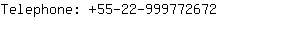 Telephone: 55-22-99977....