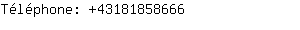 Téléphone: 4318185....