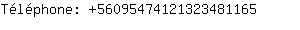 Tlphone: 5609547412132348....