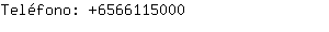 Teléfono: 656611....