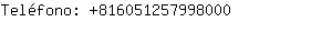Telfono: 81605125799....