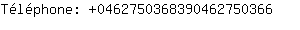 Tlphone: 046275036839046275....