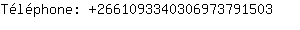 Tlphone: 266109334030697379....