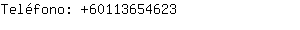 Teléfono: 6011365....