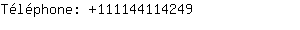 Tlphone: 11114411....