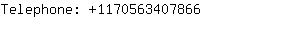 Telephone: 117056340....