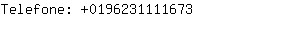 Telefone: 019623111....