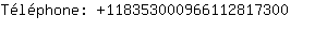 Tlphone: 11835300096611281....