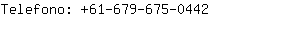 Telefono: 61-679-675-....