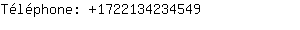 Téléphone: 172213423....