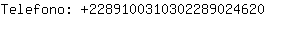 Telefono: 228910031030228902....