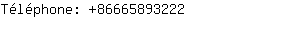 Téléphone: 8666589....