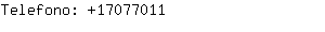 Telefono: 43-1-707....