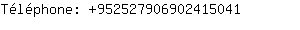 Tlphone: 95252790690241....