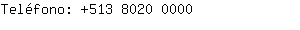 Teléfono: 513 8020 ....