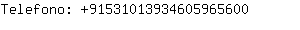 Telefono: 9153101393460596....