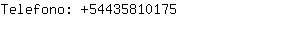 Telefono: 5443581....