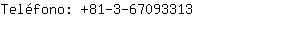 Teléfono: 81-3-6709....