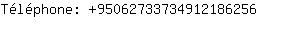 Téléphone: 9506273373491218....