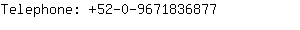 Telephone: 52-0-967183....