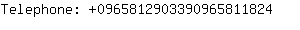 Telephone: 096581290339096581....