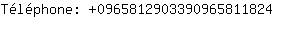 Tlphone: 096581290339096581....