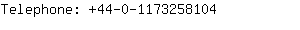 Telephone: 44-0-117325....