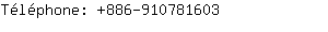 Tlphone: 886-91078....