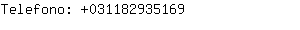 Telefono: 03118293....