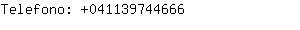 Telefono: 04113974....