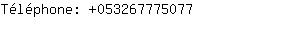 Tlphone: 05326777....
