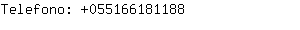 Telefono: 05516618....
