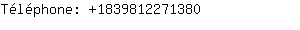 Téléphone: 183981227....