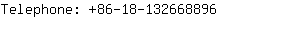 Telephone: 86-18-13266....