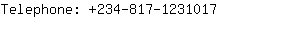 Telephone: 234-817-123....